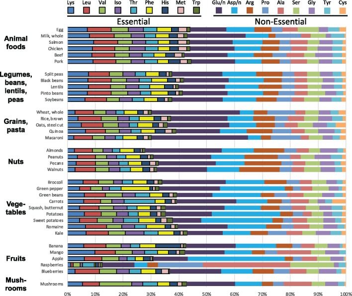 visaverčių baltymų diagrama augaliniame maiste