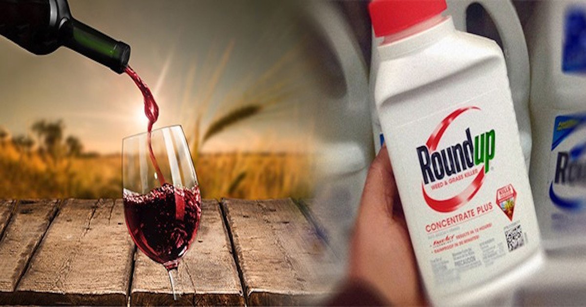 „Monsanto“ kenksmingas cheminis glifosatas, rastas 100 % Kalifornijos vynų, išbandytų