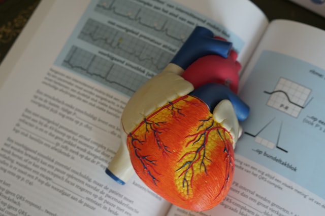 5 patarimai studentams, besidomintiems medicinos sritimi COVID-19 amžiuje